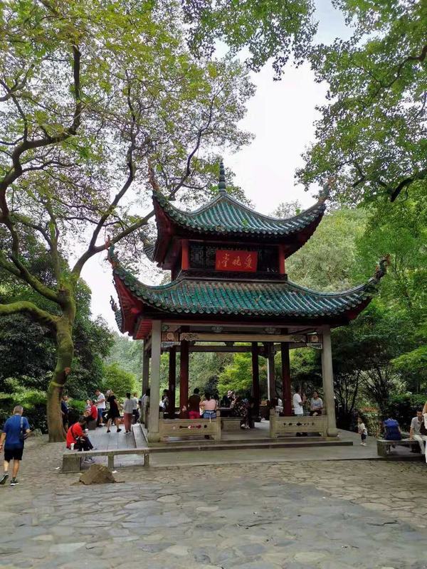 ��´ɽ�_�����W(w��ng)�j(lu��)�������W(w��ng)վʮ������������´ɽ��ӛ